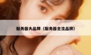 服务器大品牌（服务器主流品牌）