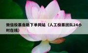 微信投票自助下单网站（人工投票团队24小时在线）