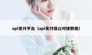 api支付平台（api支付接口对接教程）