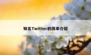 知名Twitter的简单介绍