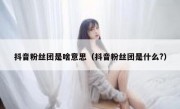 抖音粉丝团是啥意思（抖音粉丝团是什么?）