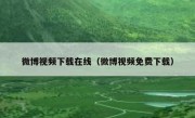 微博视频下载在线（微博视频免费下载）
