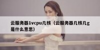 云服务器1vcpu几核（云服务器几核几g是什么意思）
