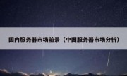国内服务器市场前景（中国服务器市场分析）