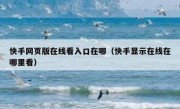 快手网页版在线看入口在哪（快手显示在线在哪里看）