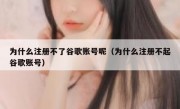 为什么注册不了谷歌账号呢（为什么注册不起谷歌账号）