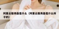 阿里云服务器是什么（阿里云服务器是什么样子的）