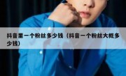 抖音里一个粉丝多少钱（抖音一个粉丝大概多少钱）