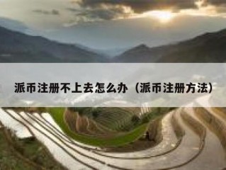 派币注册不上去怎么办（派币注册方法）