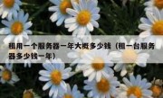租用一个服务器一年大概多少钱（租一台服务器多少钱一年）