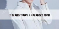 云服务器干嘛的（云服务器干啥的）
