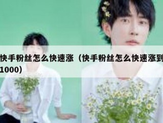 快手粉丝怎么快速涨（快手粉丝怎么快速涨到1000）