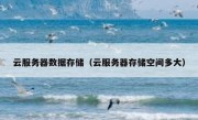 云服务器数据存储（云服务器存储空间多大）