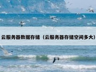 云服务器数据存储（云服务器存储空间多大）