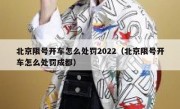 北京限号开车怎么处罚2022（北京限号开车怎么处罚成都）
