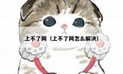 上不了网（上不了网怎么解决）