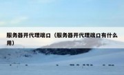 服务器开代理端口（服务器开代理端口有什么用）