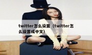 twitter怎么设置（twitter怎么设置成中文）