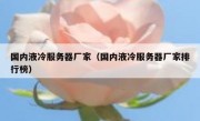 国内液冷服务器厂家（国内液冷服务器厂家排行榜）