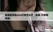 美国服务器php代理怎么开（美国 代理服务器）