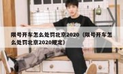 限号开车怎么处罚北京2020（限号开车怎么处罚北京2020规定）