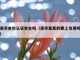 派币身份认证安全吗（派币是真的要上交易吗）