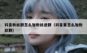 抖音粉丝群怎么加粉丝进群（抖音里怎么加粉丝群）