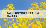 twitter看不了图片怎么设置（twitter看不见）