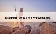 免费涨粉丝（ks赞自助下单平台网站免费）