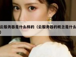 云服务器是什么样的（云服务器的概念是什么）