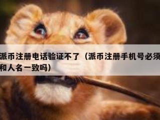 派币注册电话验证不了（派币注册手机号必须和人名一致吗）