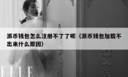 派币钱包怎么注册不了了呢（派币钱包加载不出来什么原因）