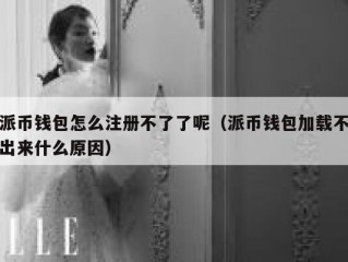 派币钱包怎么注册不了了呢（派币钱包加载不出来什么原因）