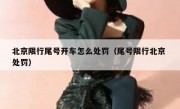北京限行尾号开车怎么处罚（尾号限行北京 处罚）