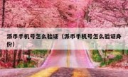 派币手机号怎么验证（派币手机号怎么验证身份）