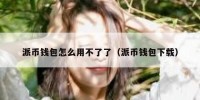 派币钱包怎么用不了了（派币钱包下载）