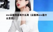 esc云服务器有什么用（云服务ecs是什么意思）