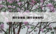 限行会被拍（限行会被拍吗）