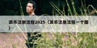 派币注册流程2025（派币注册流程一个图）