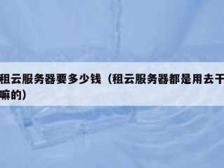 租云服务器要多少钱（租云服务器都是用去干嘛的）