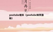 youtube增长（youtube如何涨粉）