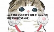 ins上的评论可以删了吗知乎（ins上的评论可以删了吗知乎）