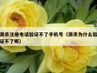 派币注册电话验证不了手机号（派币为什么验证不了呢）