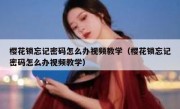 樱花锁忘记密码怎么办视频教学（樱花锁忘记密码怎么办视频教学）