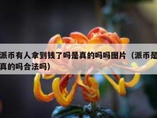 派币有人拿到钱了吗是真的吗吗图片（派币是真的吗合法吗）