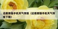 还原原版手机天气预报（还原原版手机天气预报下载）