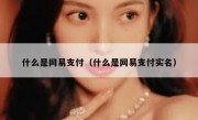 什么是网易支付（什么是网易支付实名）