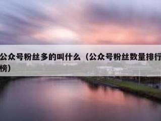 公众号粉丝多的叫什么（公众号粉丝数量排行榜）