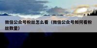 微信公众号粉丝怎么看（微信公众号如何看粉丝数量）