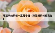陈慧娴的长相一直是个谜（陈慧娴的长相变化）